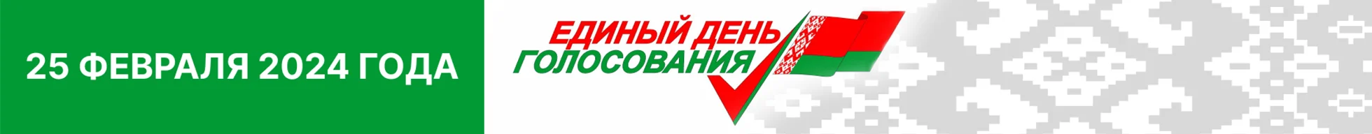 Центральная избирательная комиссия Республики Беларусь